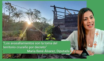 Avasallamientos en reserva forestal de El Choré