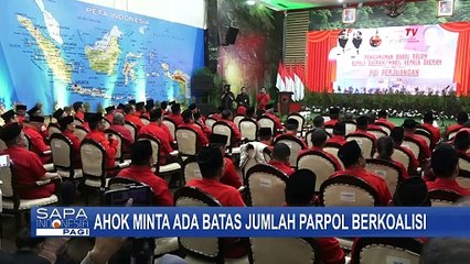 Usulkan Batasan Maksimal Parpol Berkoalisi di Pilkada, Ahok: Agar Tak Ada Aksi Borong Partai