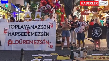 Antalya Vegan Platformu ve Attolos Pati Gönüllüleri Hayvan Katliamlarını Protesto Etti