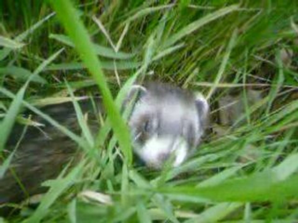 moment de toilette (3)