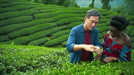 Té negro - Teaser oficial VOSE