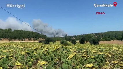Çanakkale’nin Eceabat ilçesinde ormanlık alanda yangın