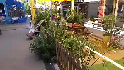 BURSA Çarşının maskotu 'Kontes', buzdolabında ölü bulundu