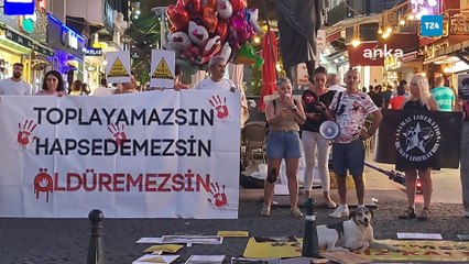 Antalya'da hayvanseverlerden protesto: Yıllardır birlikte yaşadığımız komşularımızı kanlı ellerinize teslim etmeyeceğiz!