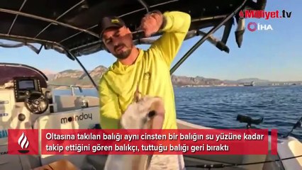 Tuttuğu balığın peşinden geleni görünce dayanamadı
