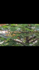 Very beautiful place of visakhapatnam. Holy worship of Mother Mary and Jesus .