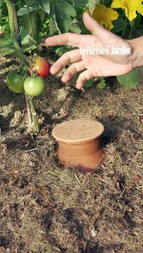 Comment arroser son potager avec des oyas ?
