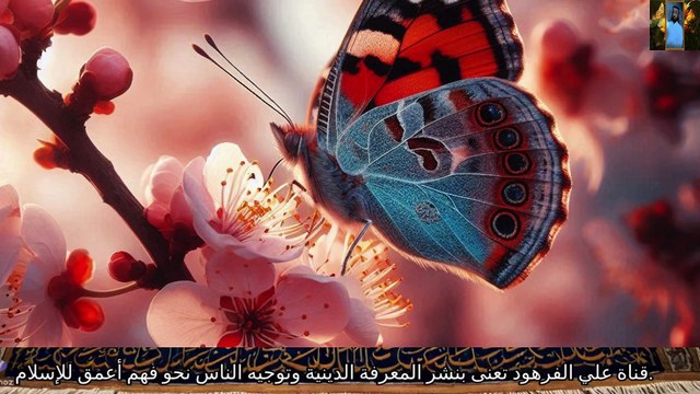 قران الكريم تلاوات بصوت يريح النفس قناة علي الفرهود القران الكريم