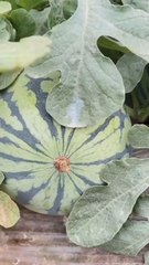 Adorable Baby Moments 😍