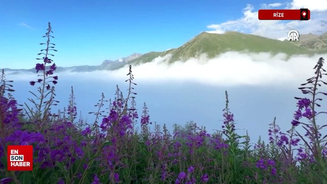 Kaçkar Dağları Milli Parkı doğal güzelliği ile ilgi çekiyor