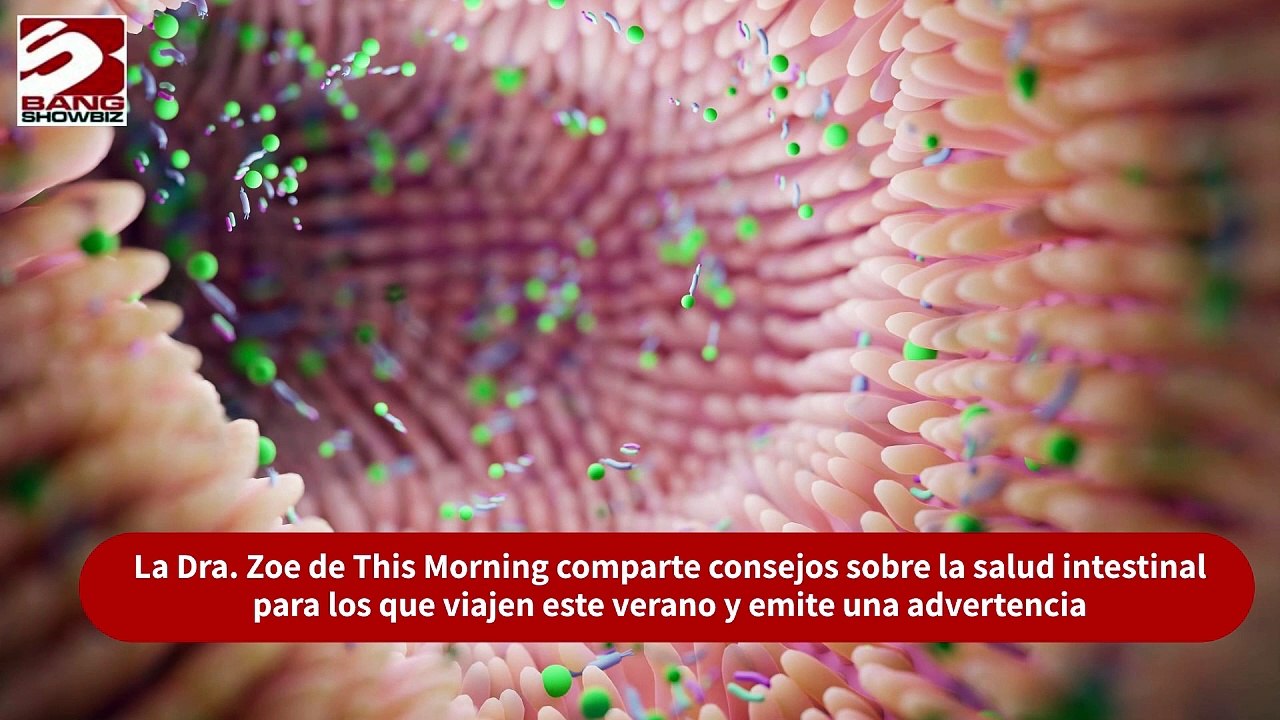 La Dra. Zoe de This Morning comparte consejos sobre la salud intestinal para los que viajen este verano y emite una advertencia