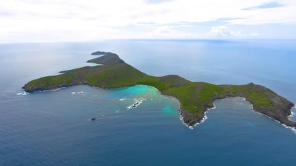 Mr Beast 7 Days Tobago an island