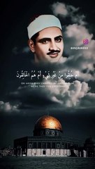 الشيخ محمد صديق المنشاوى