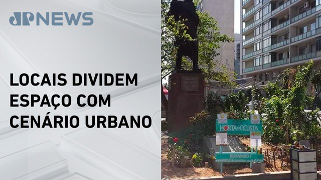 Hortas comunitárias se expandem em São Paulo