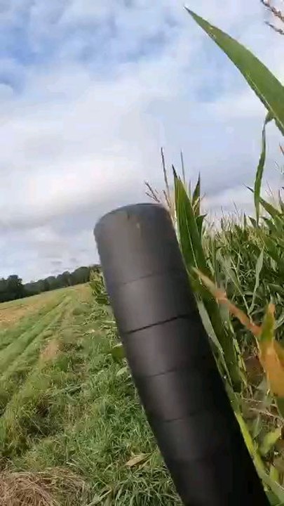 Tired 'un gros sanglier de plus de 80kh !