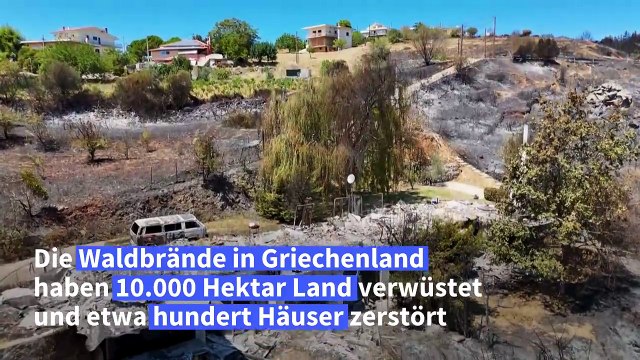 Waldbrände in Griechenland: Drohnenbilder zeigen Ausmaß der Zerstörung