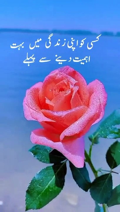 dd0d054d4693abd51b82db7ba3c121f0