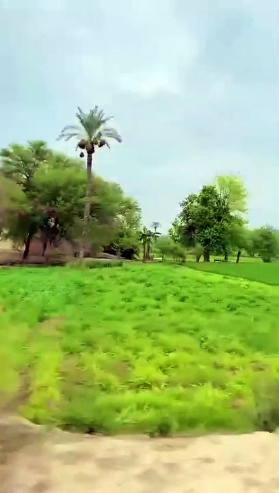 VID-20240804-WA0012