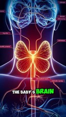 Management of Thyroid Disorders in Pregnancy