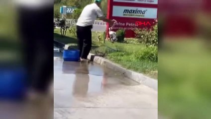 Sıcaktan bunalan leyleği benzinlikte yıkayarak serinletti