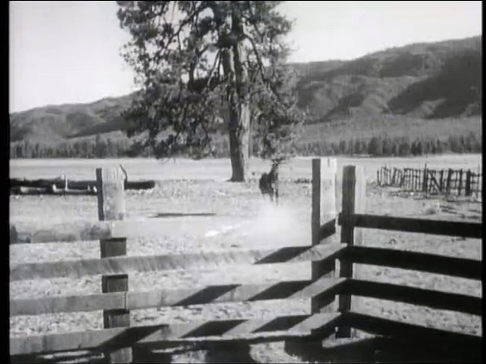 Fury-E05 Waldbrandgefahr