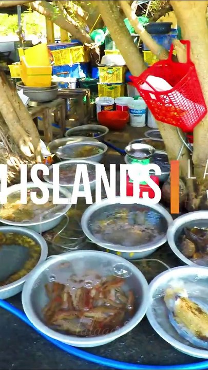 Cham Island