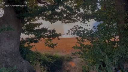 20 firefighters tackle field fire