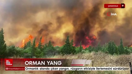 Eceabat'taki orman yangını büyüyor