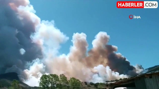 Bolu'da Orman Yangını: Dumanlar Gökyüzünü Kapladı