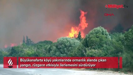 Çanakkale’deki orman yangını büyüyor! 57. Alay Şehitliği ile Conkbayırı ziyarete kapatıldı