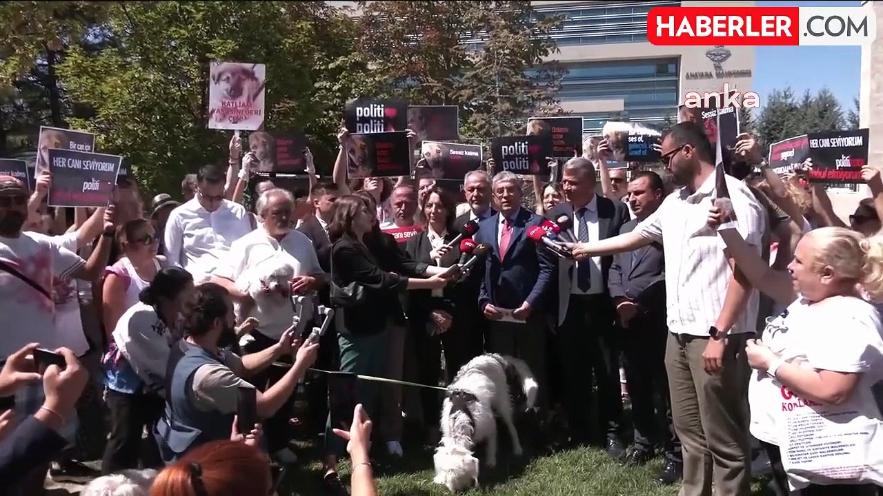 CHP, Hayvanları Koruma Kanunu'nun iptali için AYM'ye başvurdu