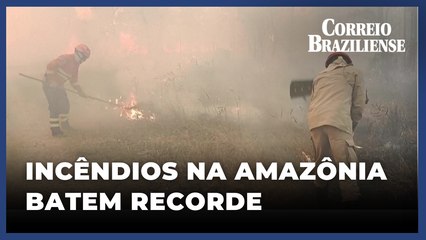 Incêndios na Amazônia Legal batem recorde em duas décadas