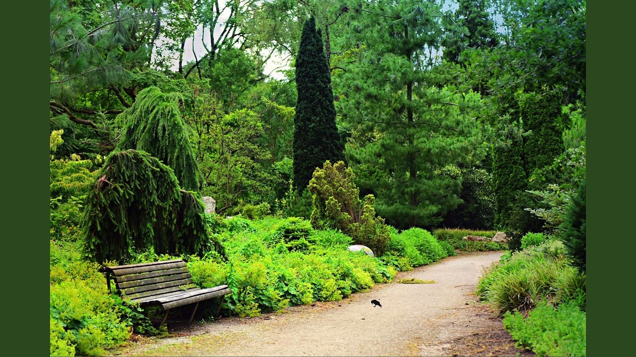 Mental Health and Islam| Mental Health| Islam