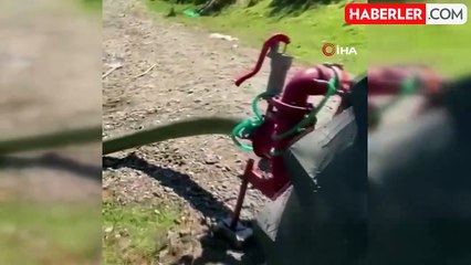 Atık suyunu dereye deşarj eden patates fabrikasına ceza