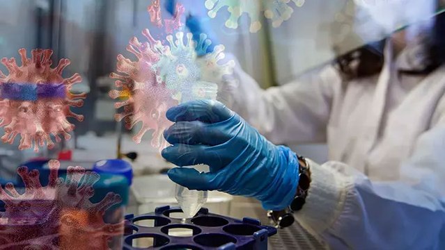 Sağlık Bakanlığı açıkladı: Türkiye'de maymun çiçeği vakası görüldü mü?