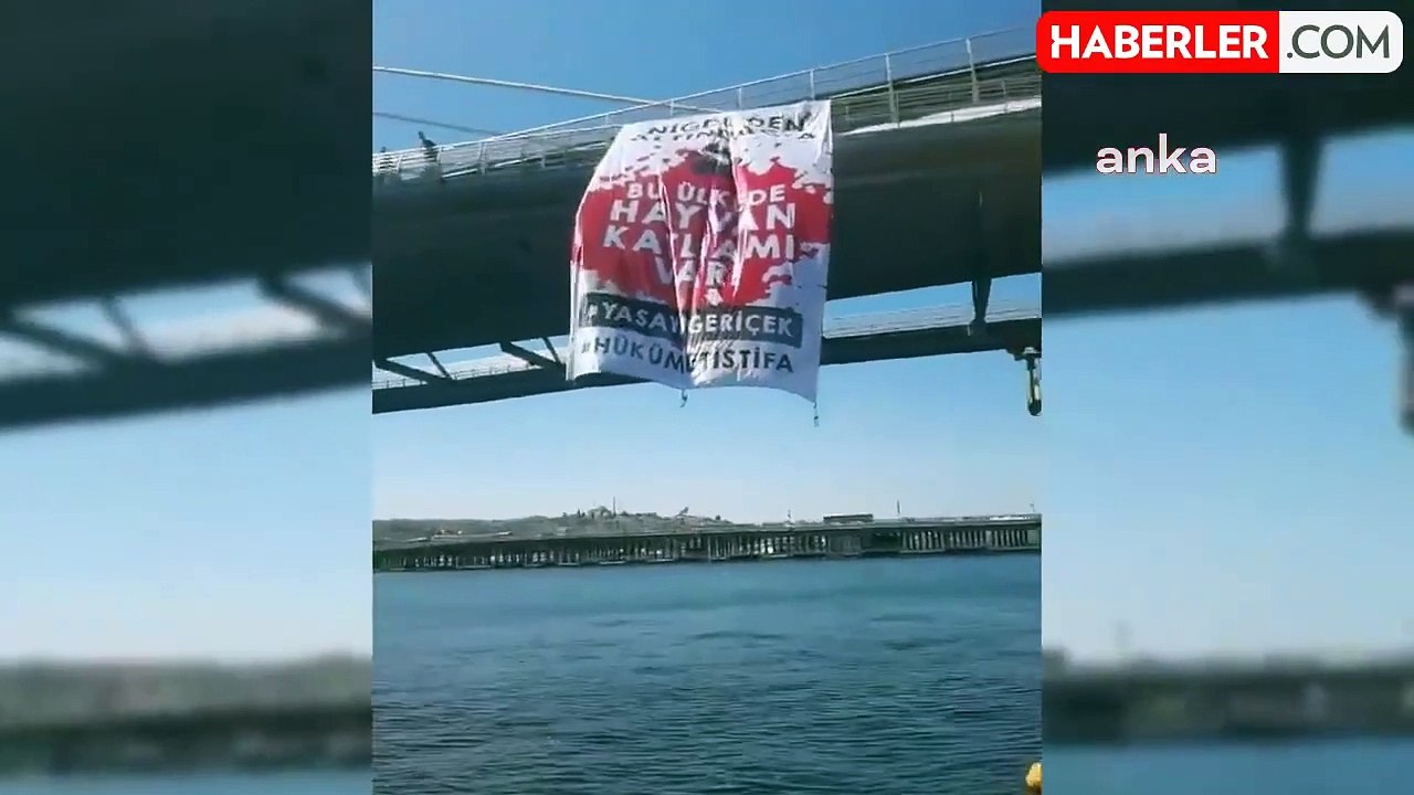 Sokak Hayvanlarına İlişkin Yasaya Protesto