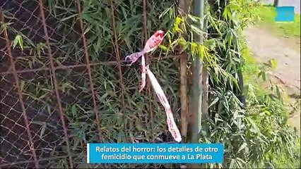 Relatos del horror: los detalles de otro femicidio que conmueve a La Plata_1