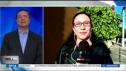 Los limoneros de Michoacán y  las extorsiones del crimen organizado: Senadores hablan del tema