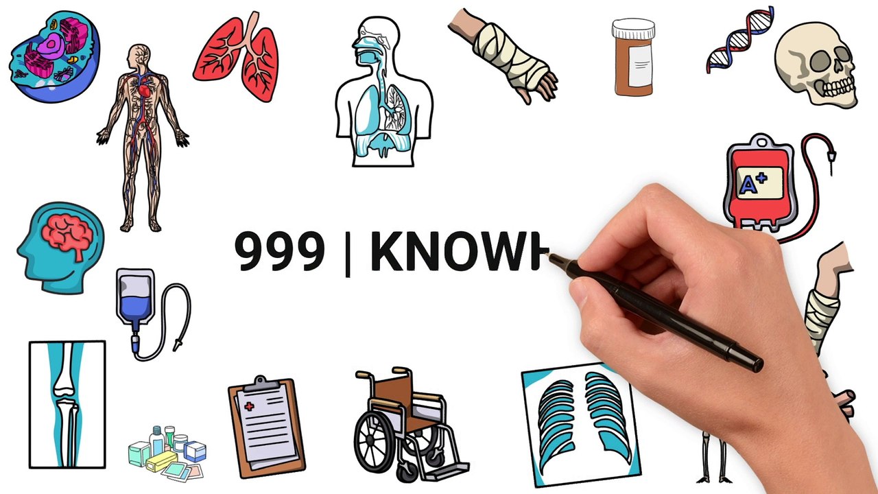 999 | KnowHow Anatomical Directional Terms
