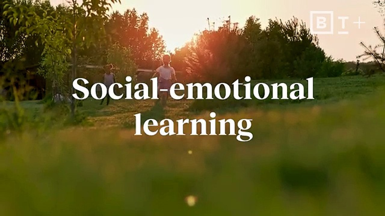 12 traits emotionally intelligent people share (You can learn them) | Daniel Goleman for Big Think+