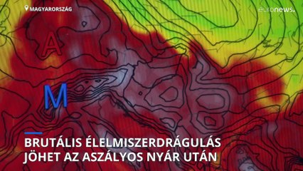 Brutális élelmiszerdrágulást vonhat maga után az idei, aszályos nyár