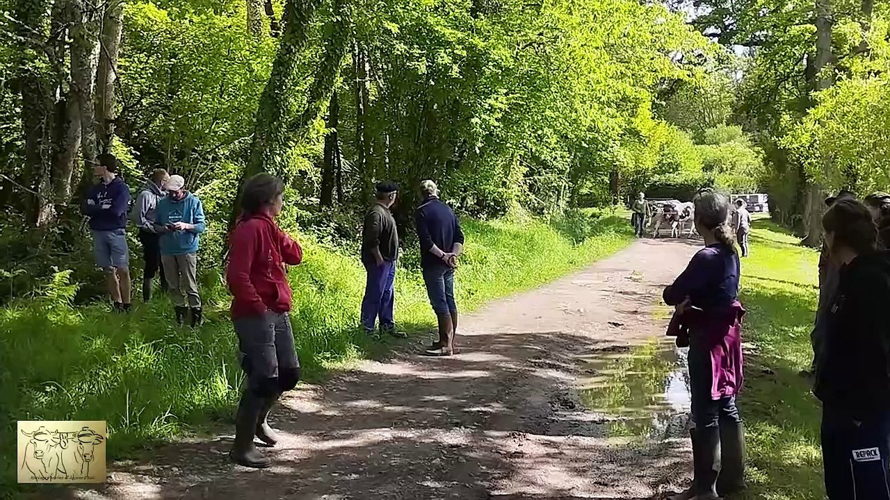 Rencontre 2024 des bouvières et bouviers de France à Châtelus-Malvaleix partie 3