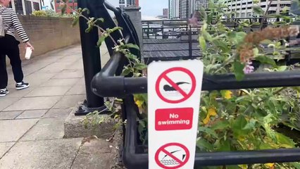Timelapse from old terminal to new sea terminal