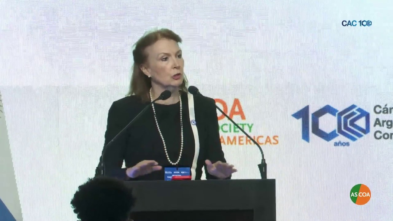 Mondino pidió inversiones en el Council de las Américas, con licencias: "No discutamos si hay o no cambio climático"