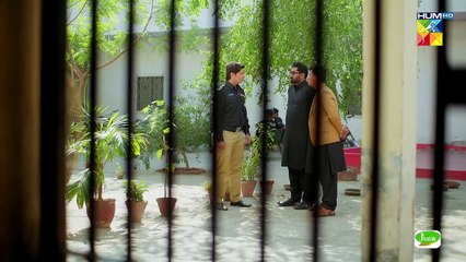 Teri Chhaon Mein Episode 12 | 15 Aug 2024 | Danish Taimoor Drama