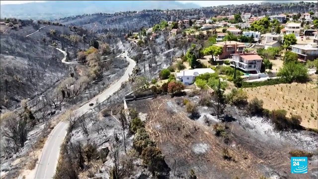 Incendies en Grèce : paysages dévastés et colère des rescapés
