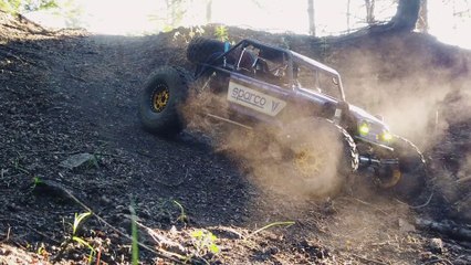 Vanquish H10 Optic Rocks & Roots Forest Trail