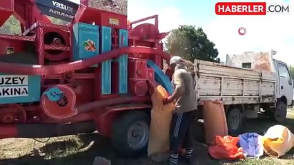 Yılda sadece 1 buçuk ay çalışıyorlar! Saatlik kazançları ise dudak ısırtıyor