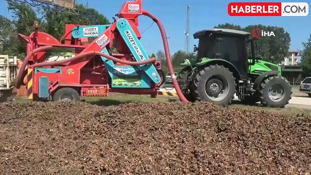 Fındık hasadı başladı! Yılda 1 buçuk ay çalışan patozcular saatte 3 bin 500 TL kazanıyor