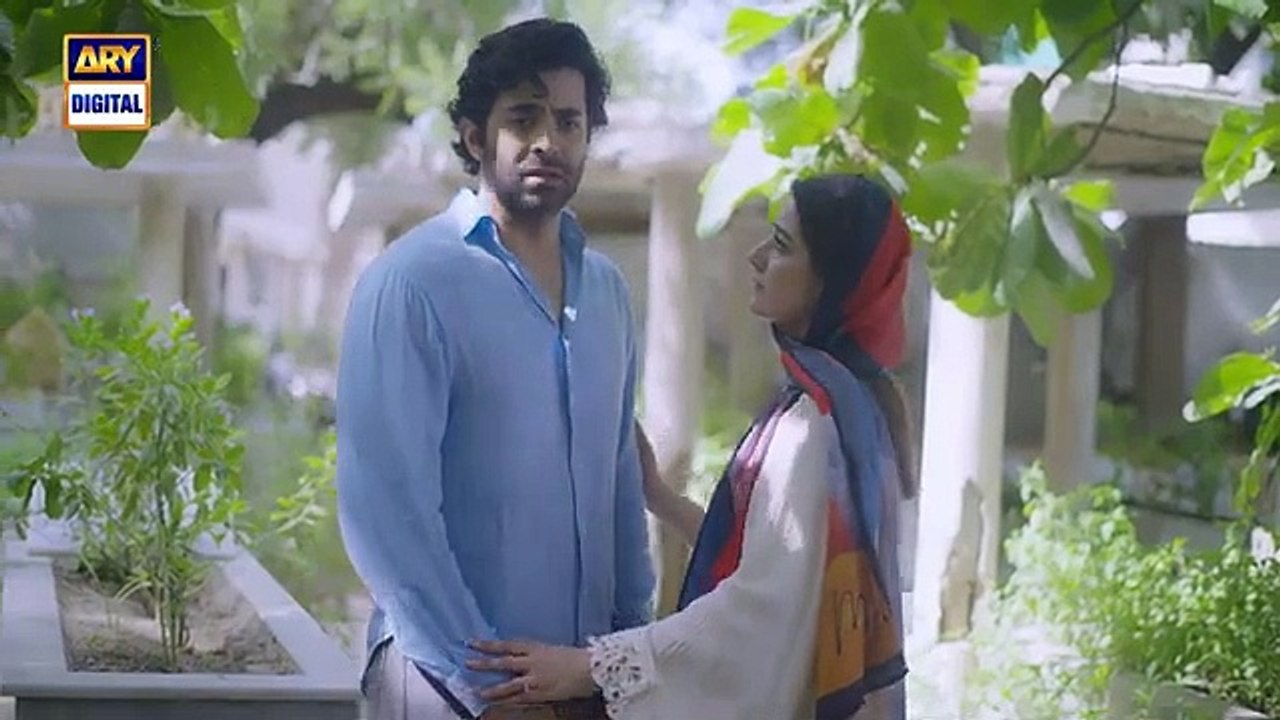 Radd Last Episode 15 Aug 2024  ARY Digital